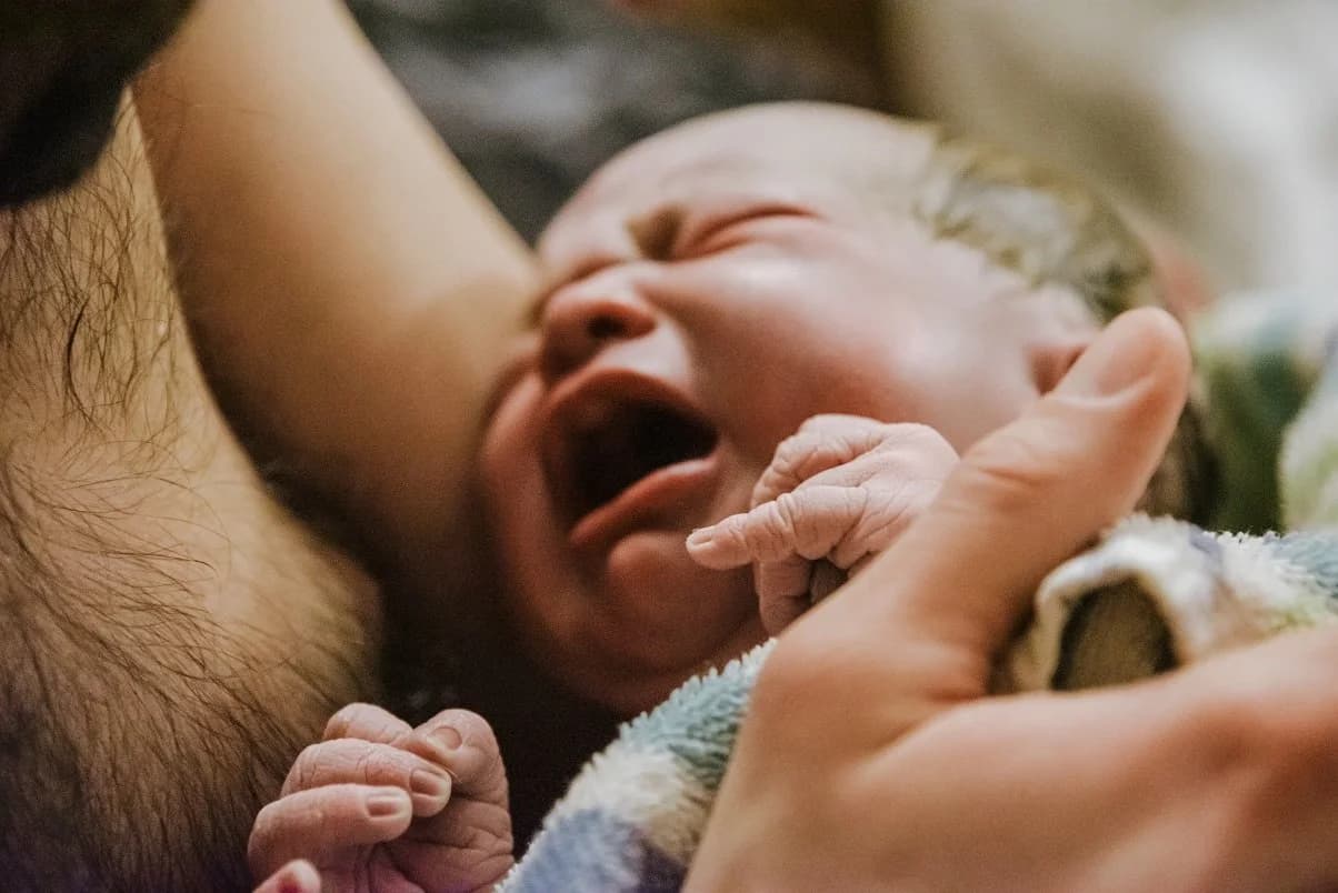 First nursing in the warmth of their own bed