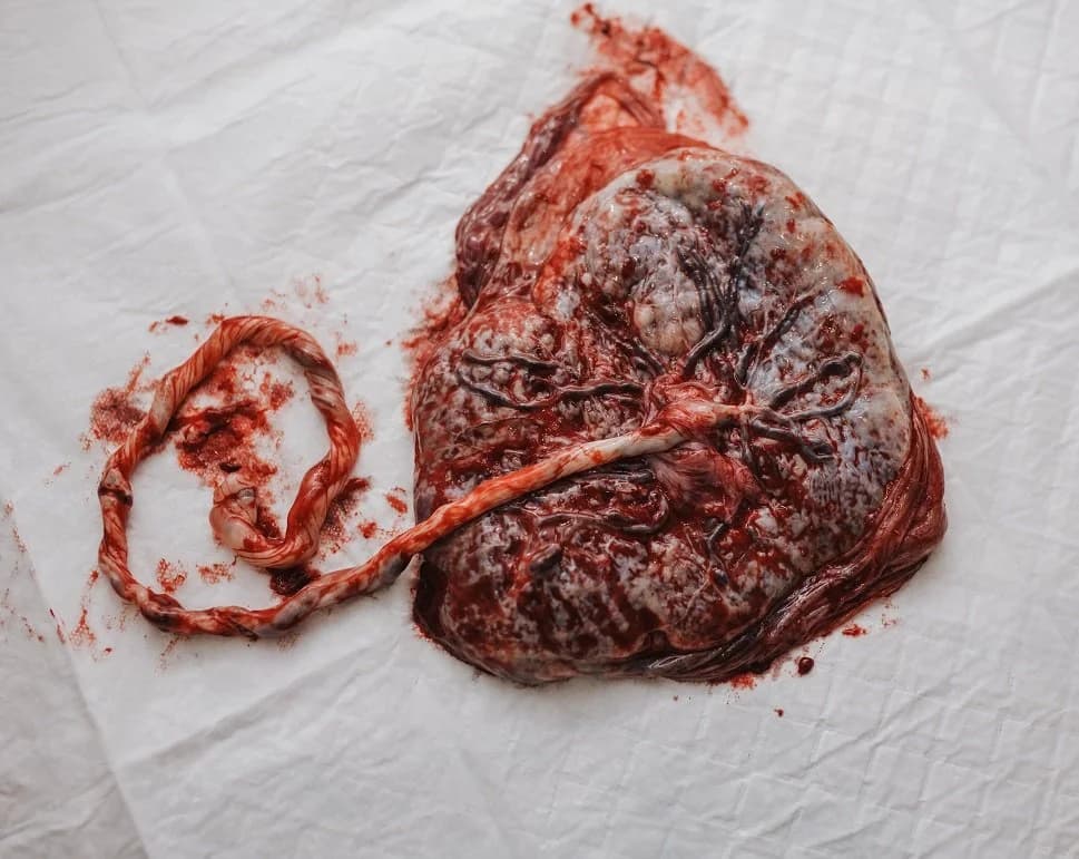 Baby sleeping peacefully after the journey earthside